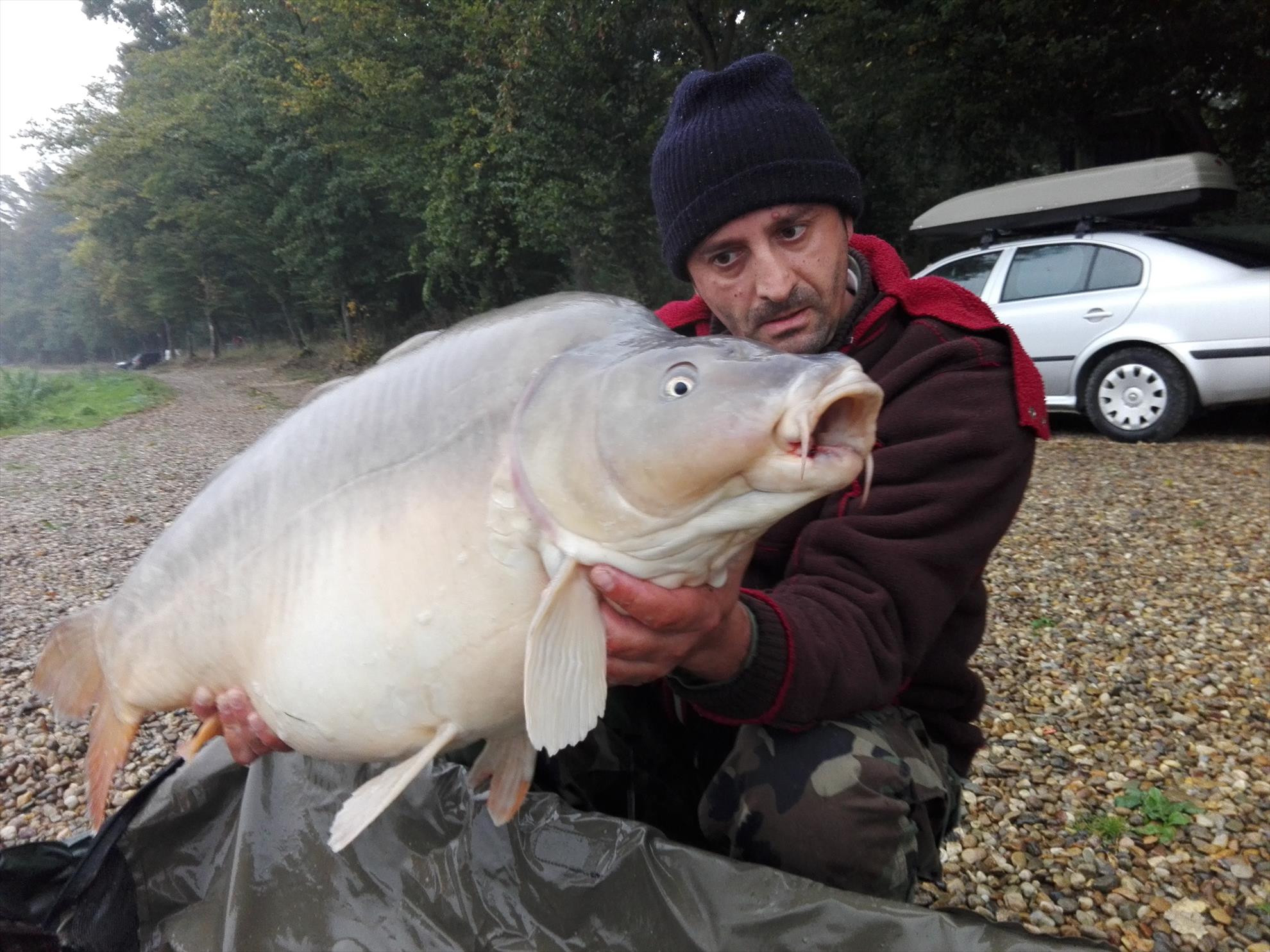 1-5 Octombrie Cetariu - img20161003081153.jpg